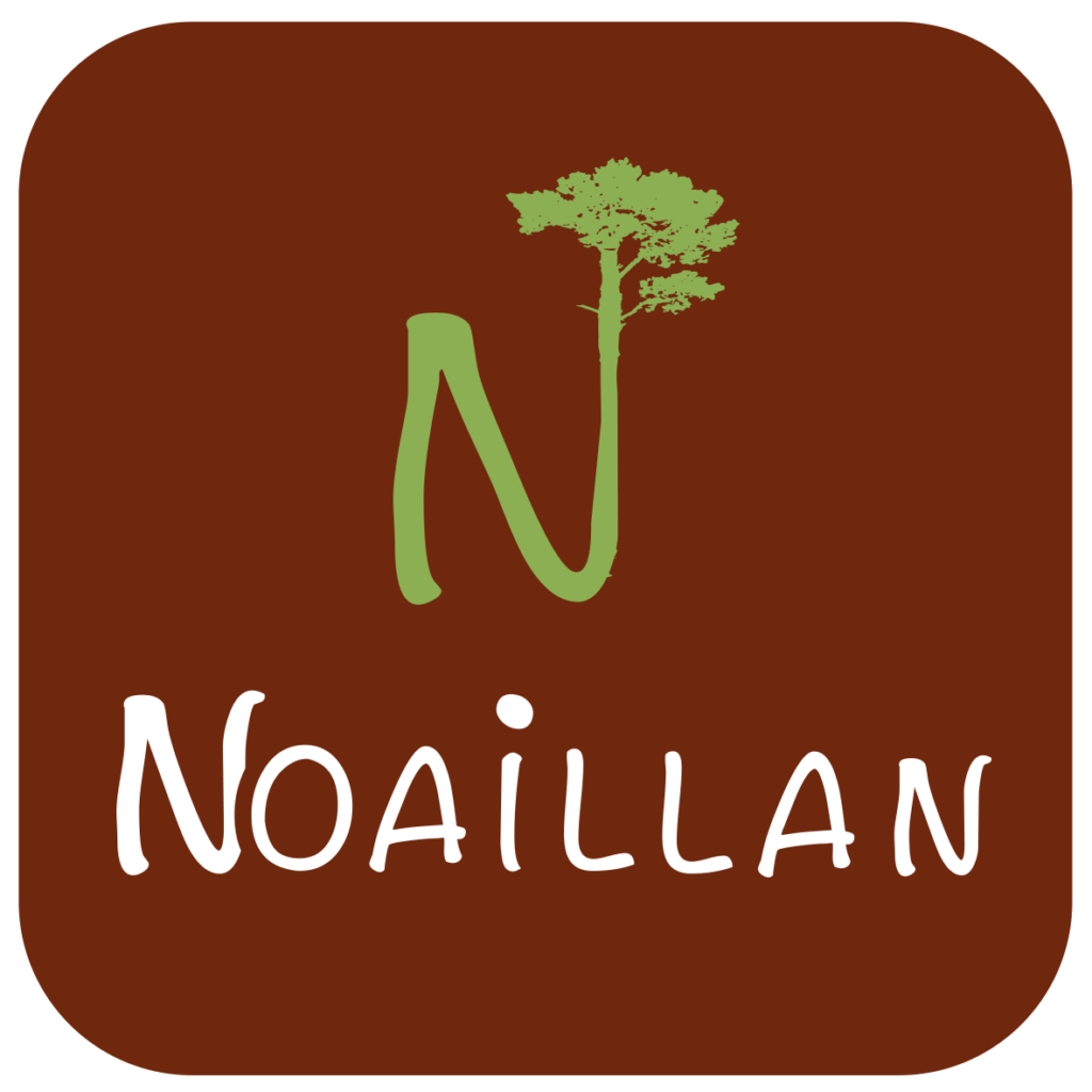 Nouveau logo NOAILLAN